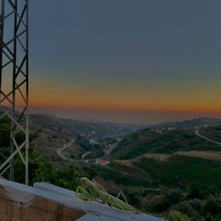 Casa Rural Malaga Monkey Love Con Jacuzzi Iznate Kültér fotó